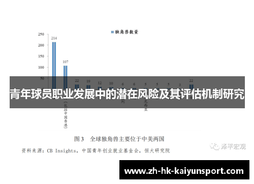 青年球员职业发展中的潜在风险及其评估机制研究