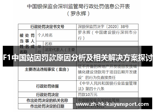 F1中国站因罚款原因分析及相关解决方案探讨