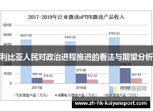 利比亚人民对政治进程推进的看法与期望分析