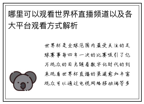 哪里可以观看世界杯直播频道以及各大平台观看方式解析